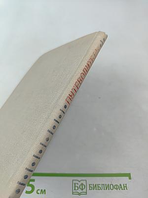 Путеводитель. Пермский областной краеведческий музей