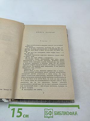 Девять принцев Амбера