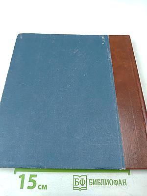 Equestrian Statue of Peter I by Carlo Rastrelli