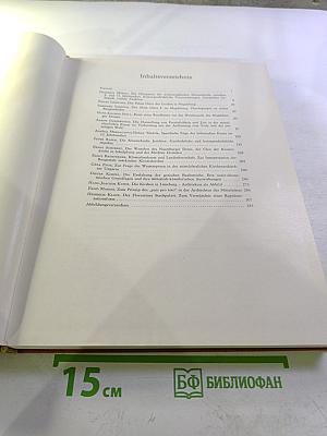 Архитектура Средневековья