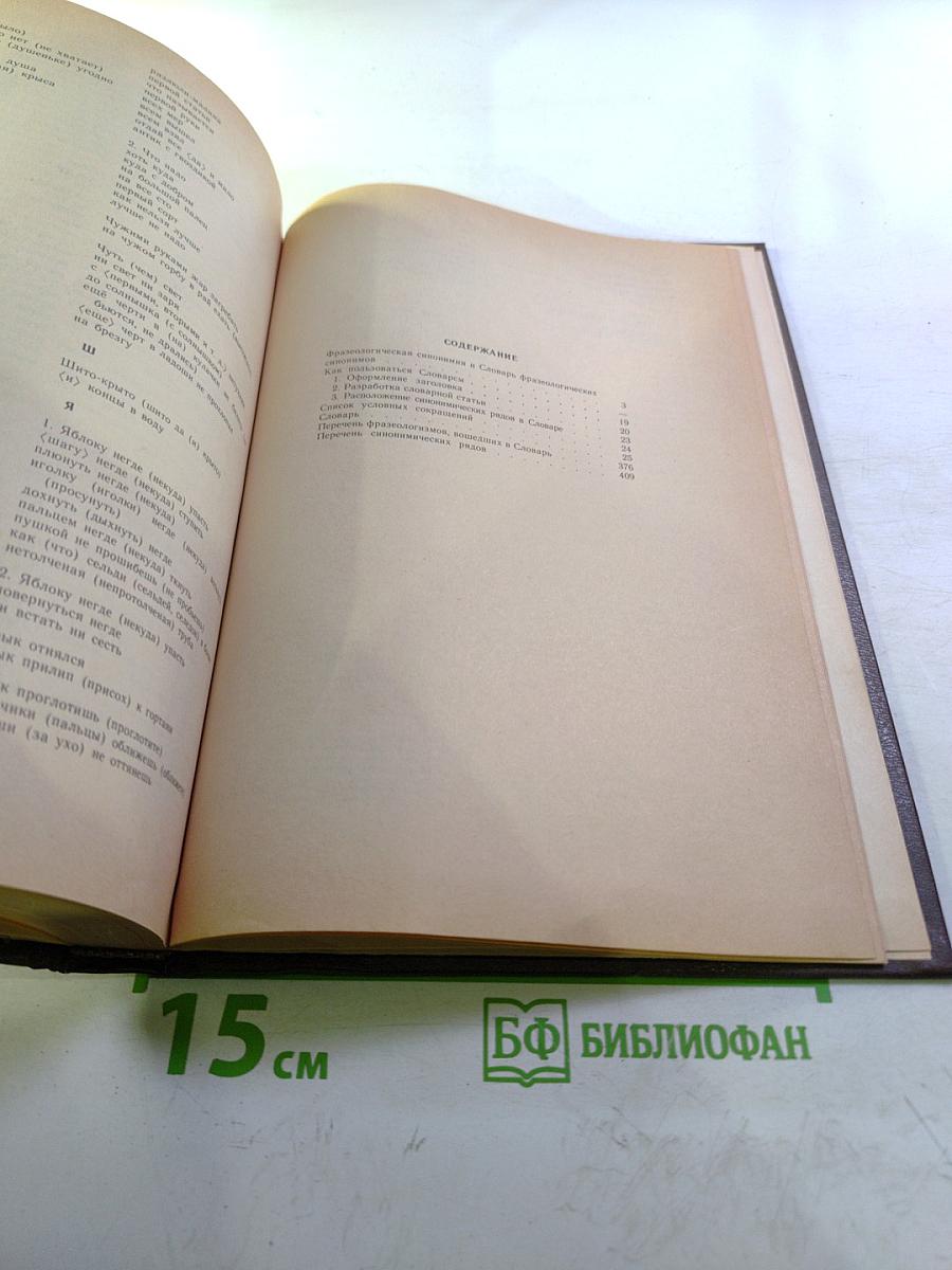 Словарь фразеологических синонимов русского языка