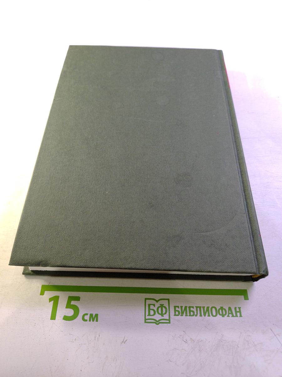 Наставление в христианской вере. Том второй. Книга III