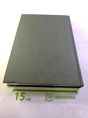 Наставление в христианской вере. Том второй. Книга III