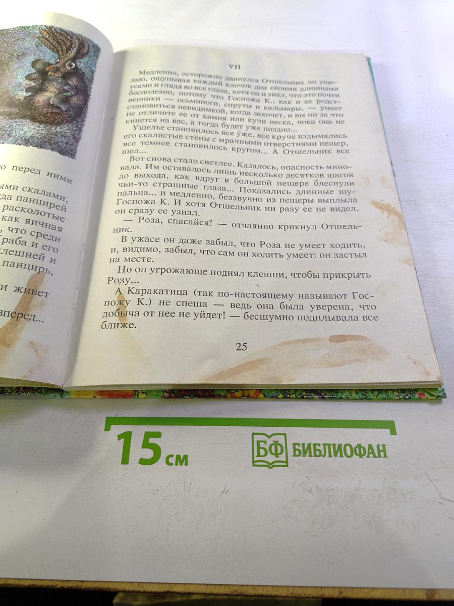 Отшельник и роза