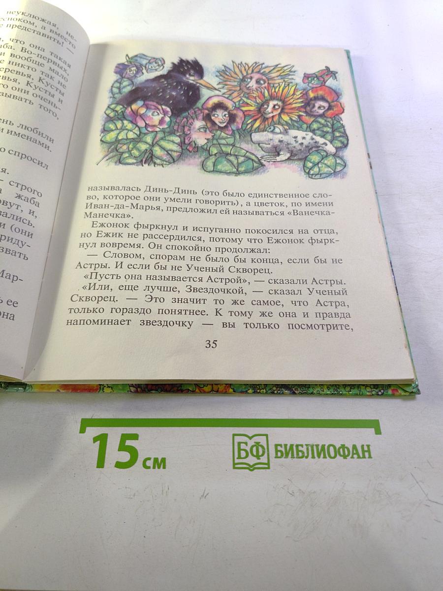 Отшельник и роза