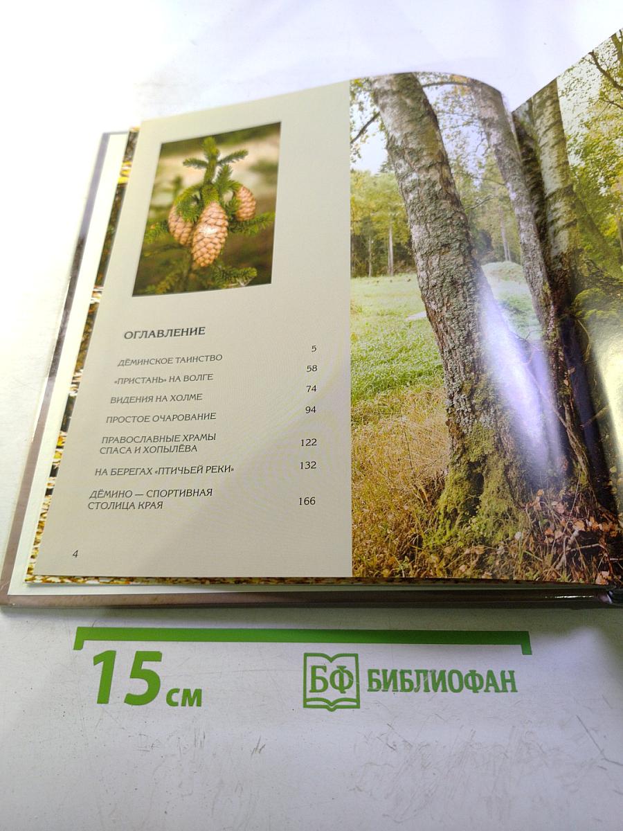 Дёмино. Окрестности