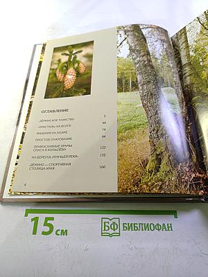 Дёмино. Окрестности