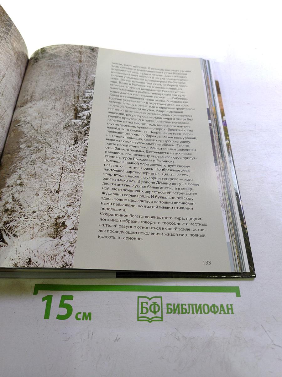 Дёмино. Окрестности