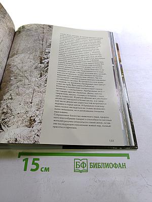 Дёмино. Окрестности