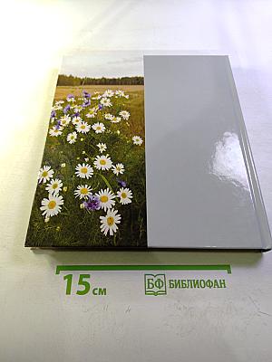 Дёмино. Окрестности