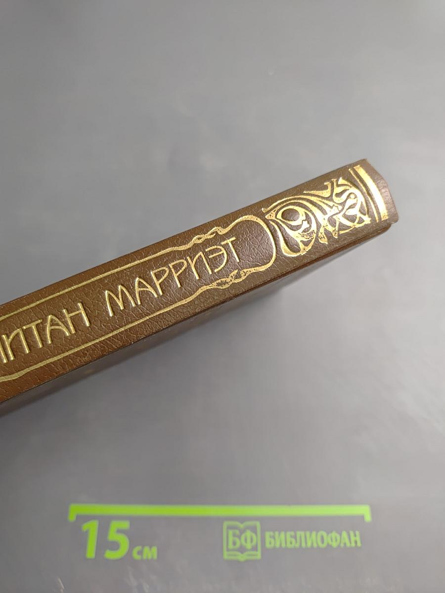 Приключения Питера Симпля