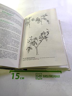 Азбука садовода