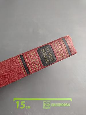 Собрание сочинений. Том восьмой. Очарованная душа. Книги первая и вторая