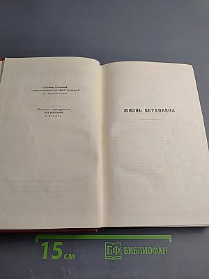 Собрание сочинений. Том второй. Жизни великих людей: Жизнь Бетховена, Жизнь Микеланджело, Жизнь Толстого