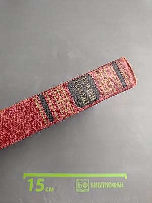 Собрание сочинений. Том второй. Жизни великих людей: Жизнь Бетховена, Жизнь Микеланджело, Жизнь Толстого