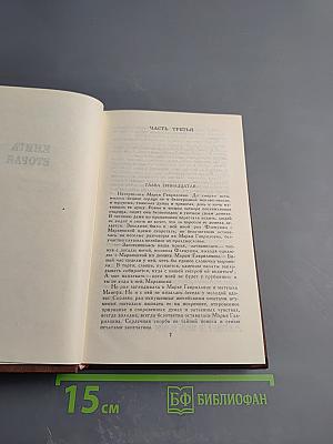 В Лесах. Том 4