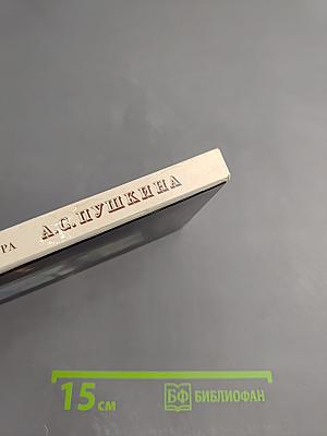 Музей-квартира А.С. Пушкина