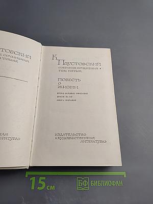 Повесть о жизни: Время больших ожиданий. Бросок на юг. Книга скитаний