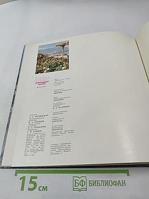 Ялта приглашает гостей