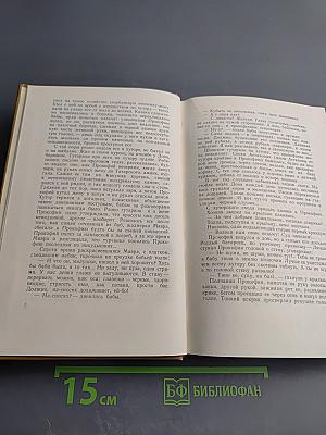 Тихий Дон. Том 2. Книга первая