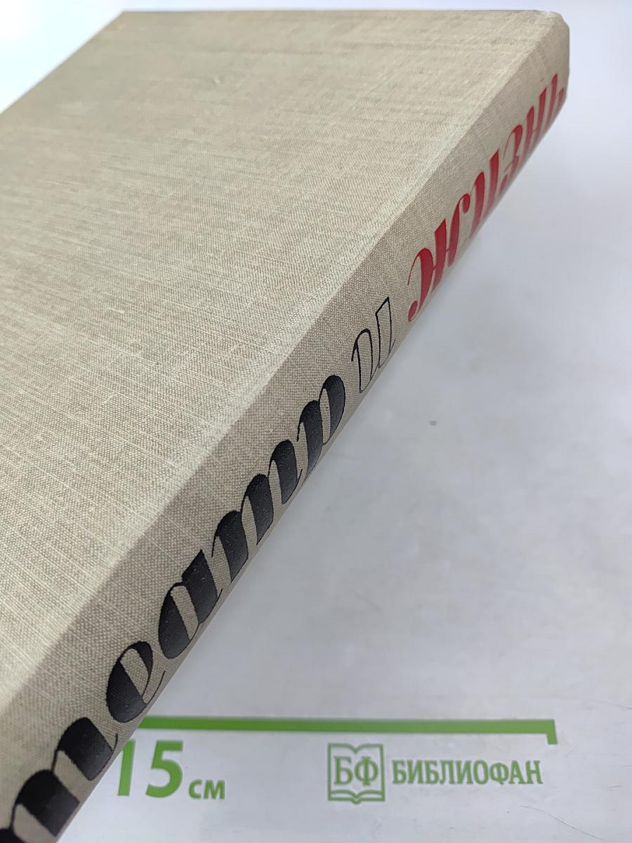 Театр и жизнь