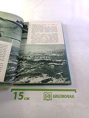 Здравствуй, Балтика!