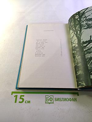 Здравствуй, Балтика!