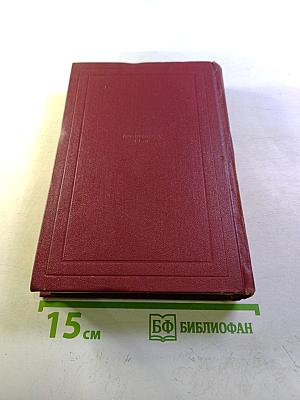 Собрание сочинений. Том тринадцатый. Публицистика (1917-1939)