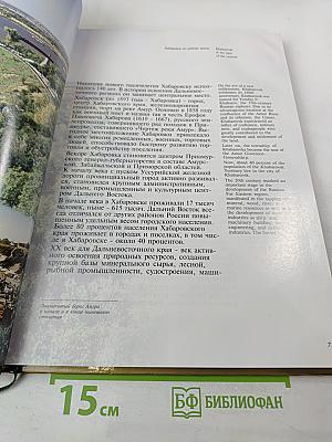 Хабаровск: столица Дальневосточного региона