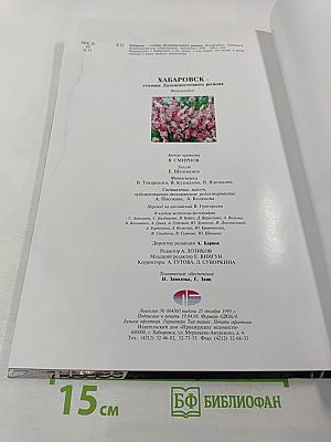 Хабаровск: столица Дальневосточного региона