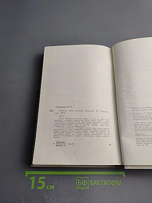 Почему море соленое