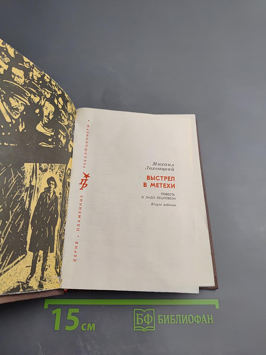 Выстрел в Метехи