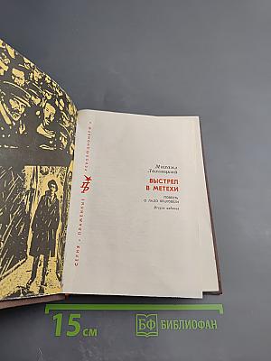 Выстрел в Метехи