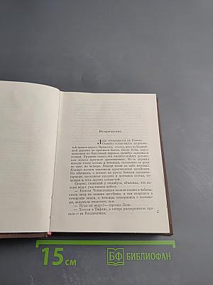 Выстрел в Метехи