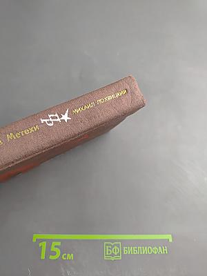 Выстрел в Метехи