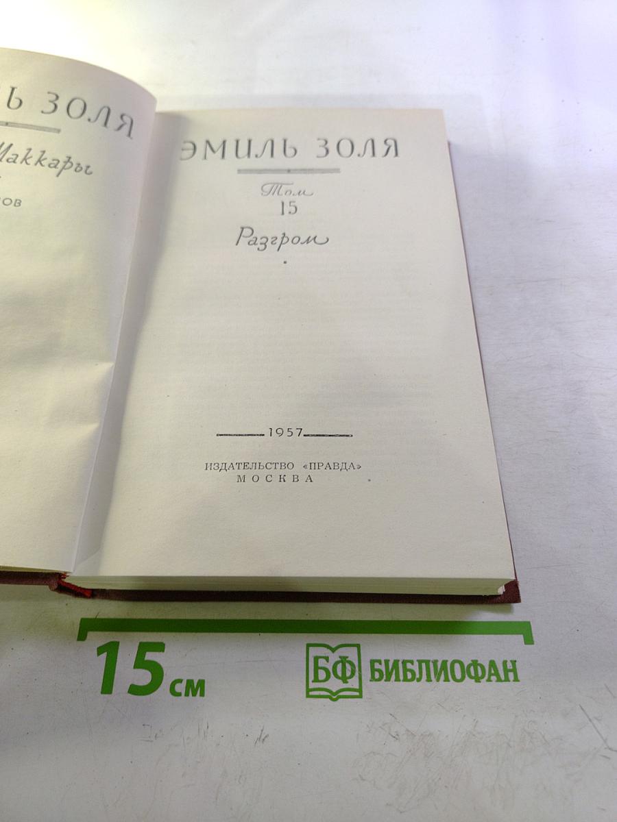 Разгром. Том 15