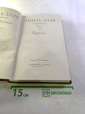 Разгром. Том 15