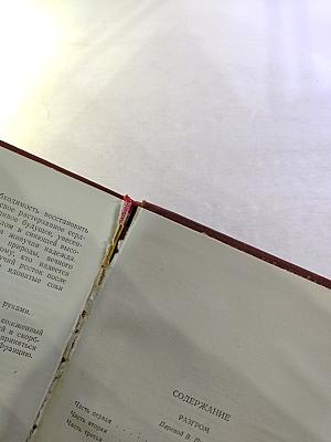 Разгром. Том 15