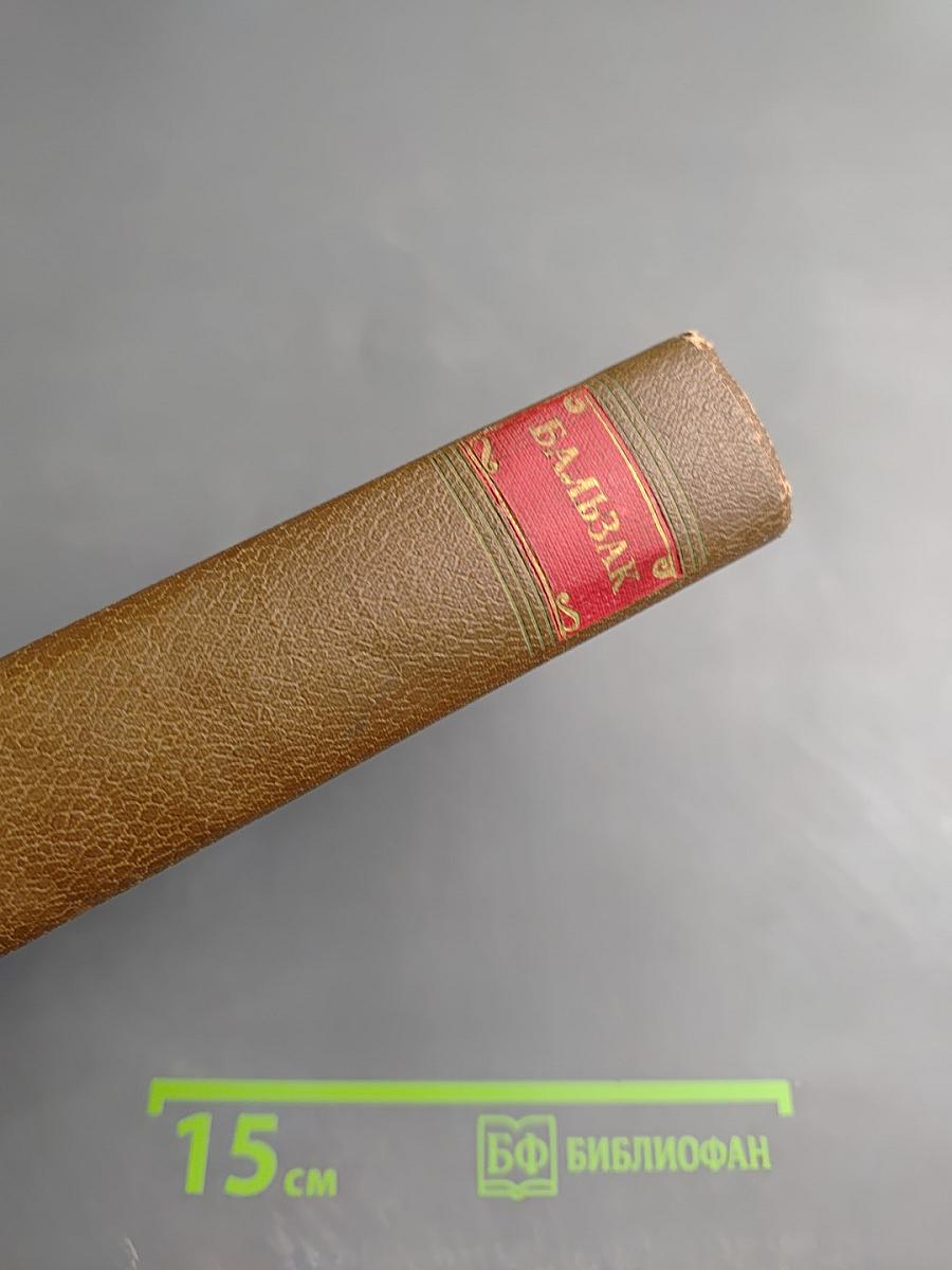 Человеческая комедия. Сцены деревенской жизни. Сельский врач. Крестьяне. Том 12