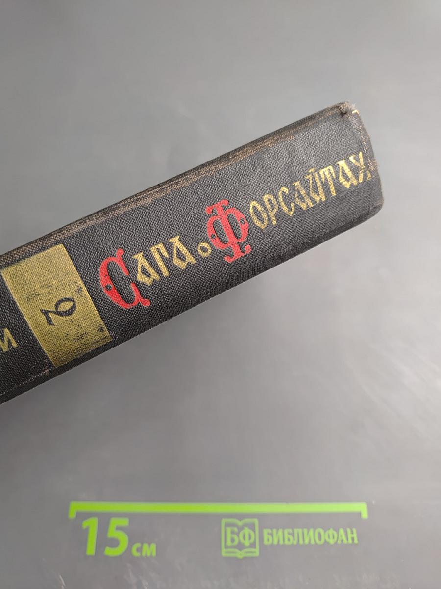 Сага о Форсайтах. Том 2