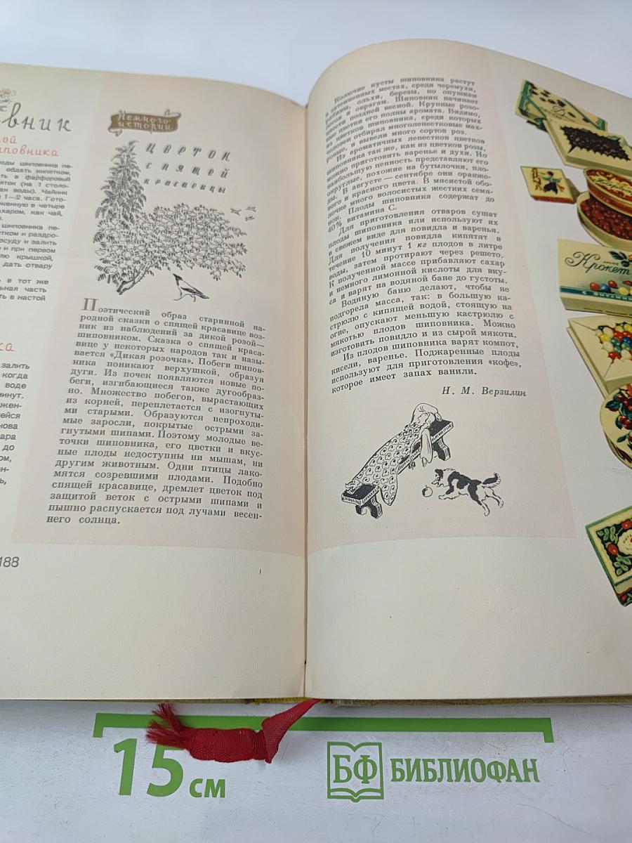 Детское питание. Книга о том, как правильно кормить ребенка, чтобы вырастить его здоровым и крепким