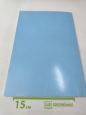 Добро пожаловать в Россию! (учебные материалы по аудированию и развитию речи)