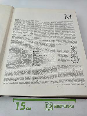 Большая Советская Энциклопедия, Том 16