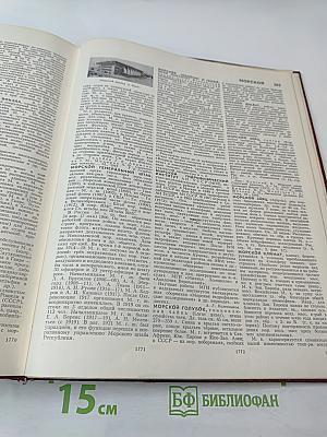 Большая Советская Энциклопедия, Том 16