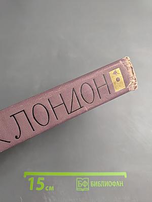 Собрание сочинений в четырнадцати томах. Том 2