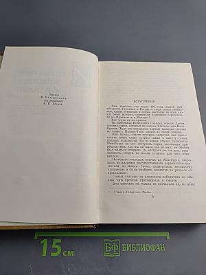 История живописи в Италии. Том V