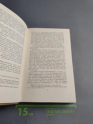 История живописи в Италии. Том V