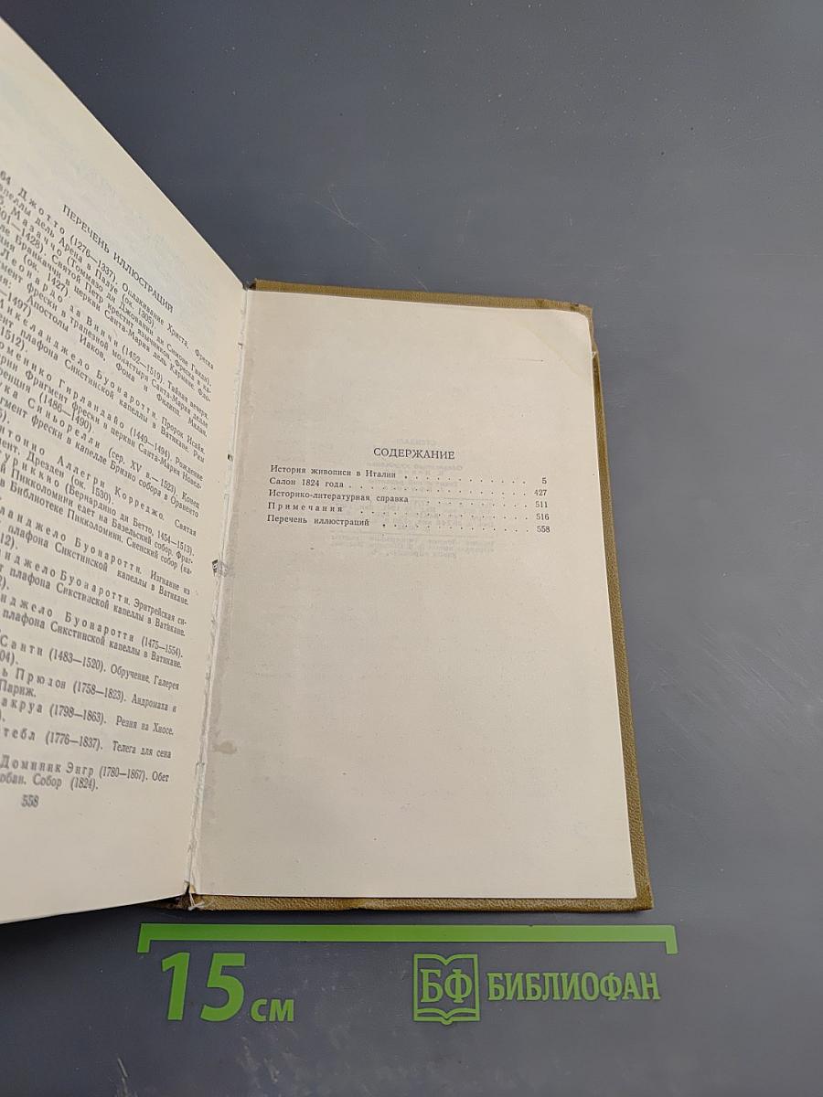 История живописи в Италии. Том V