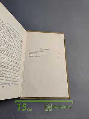 История живописи в Италии. Том V