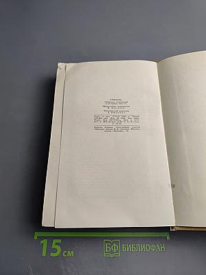 История живописи в Италии. Том V